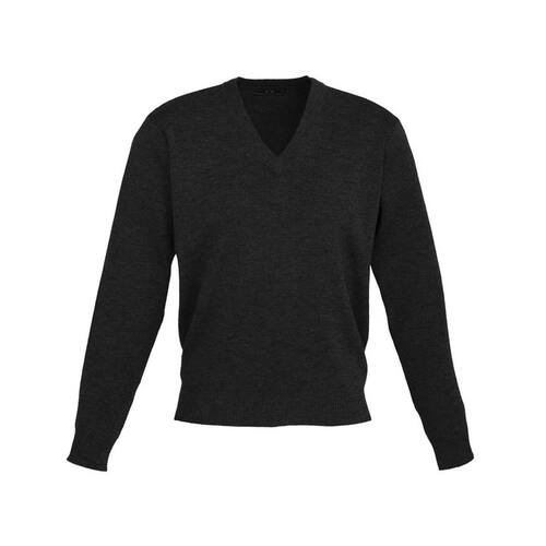 WORKWEAR, SAFETY & CORPORATE CLOTHING SPECIALISTS - Men's V-Neck Pullover